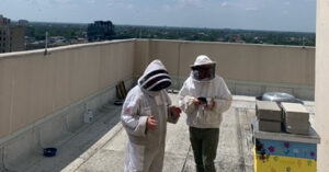 Beekeeping Today Podcast