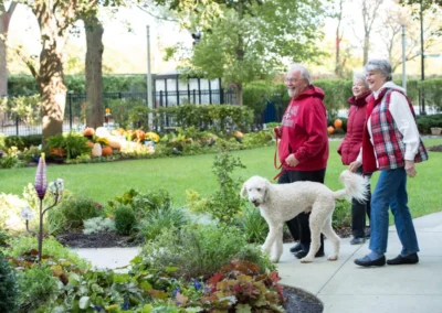 Two elderly couples walking a white dog in a lush garden, smiling and enjoying a sunny day.